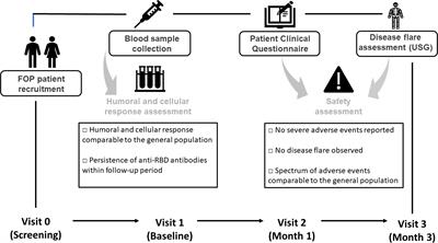 SARS-CoV-2-specific humoral and cellular immune responses to BNT162b2 vaccine in Fibrodysplasia ossificans progressiva patients